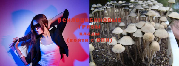 мескалин Алексин