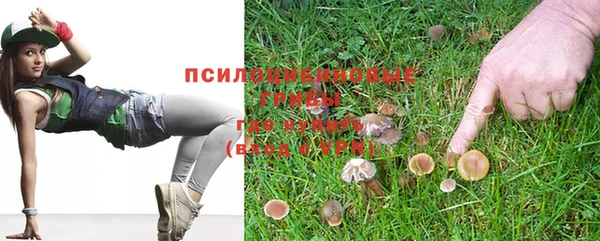 шишки Дубовка