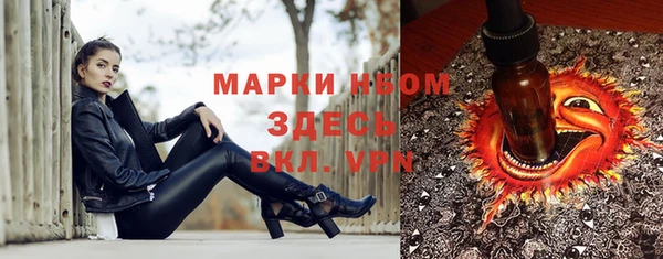 гидропоника Алзамай
