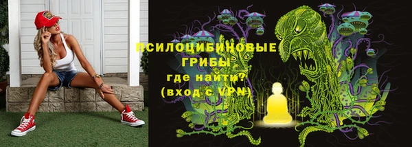 гидропоника Алзамай