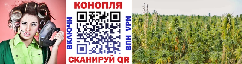 Марихуана тримм Орлов